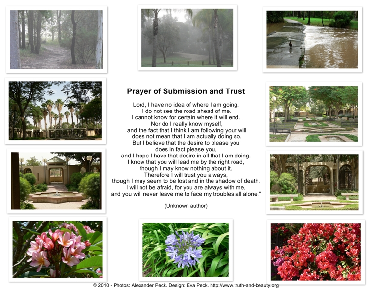 Prayer of Trust